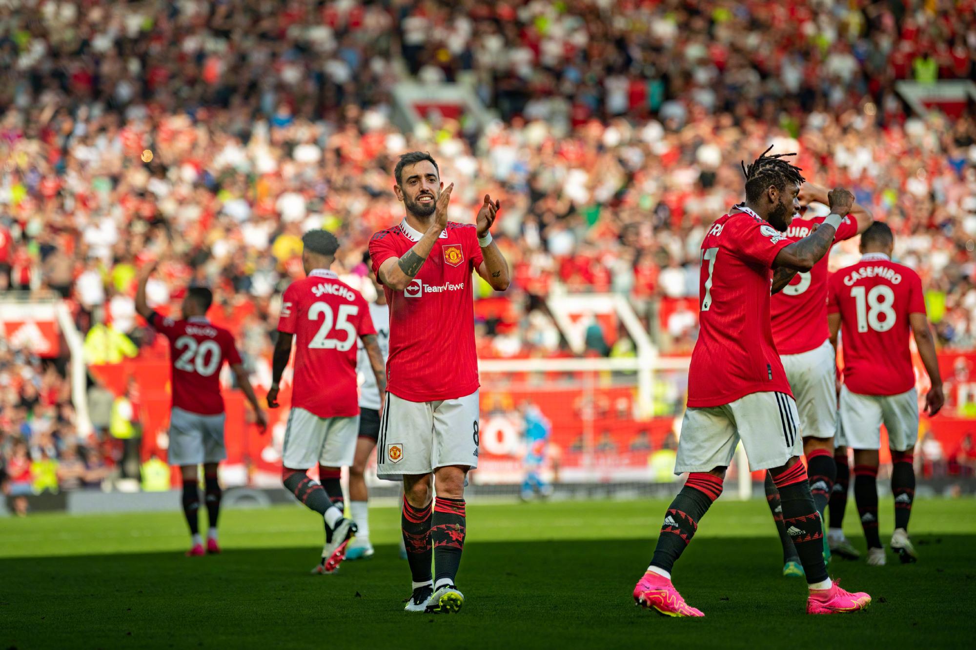 的发挥提供 的发挥提供