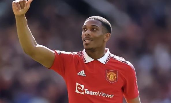 权衡这些选 权衡这些选