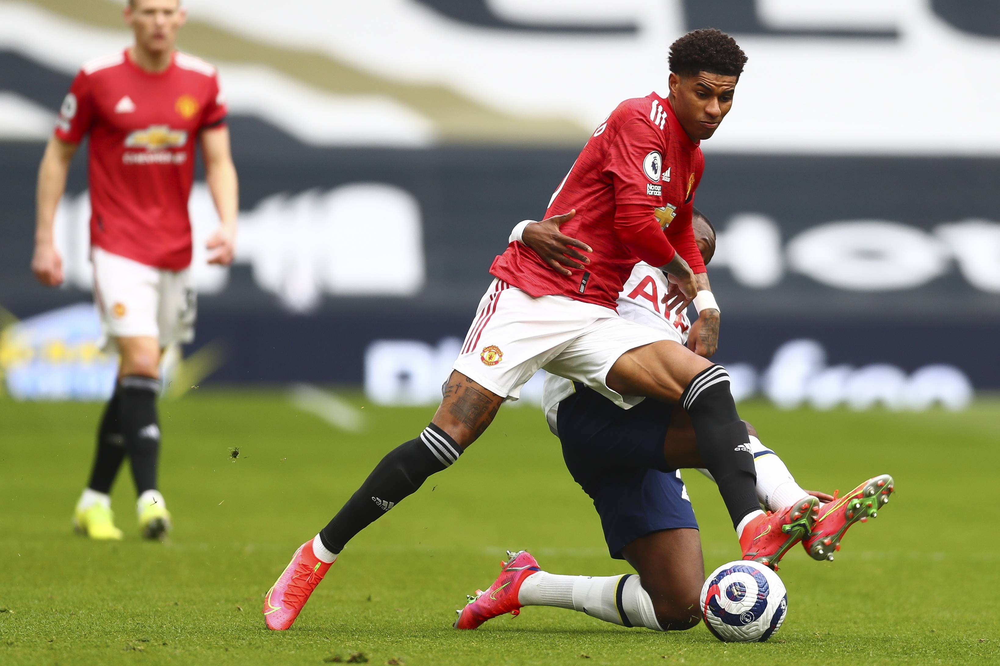 举动的广泛 举动的广泛